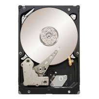 Жесткий диск Seagate 3TB ST33000650NS