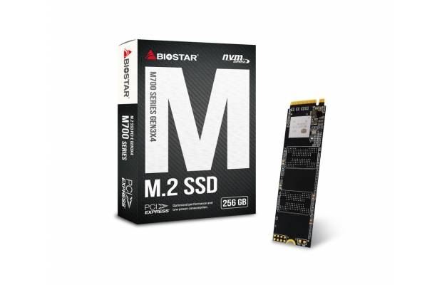 Твердотельный накопитель SSD Biostar M700-256GB