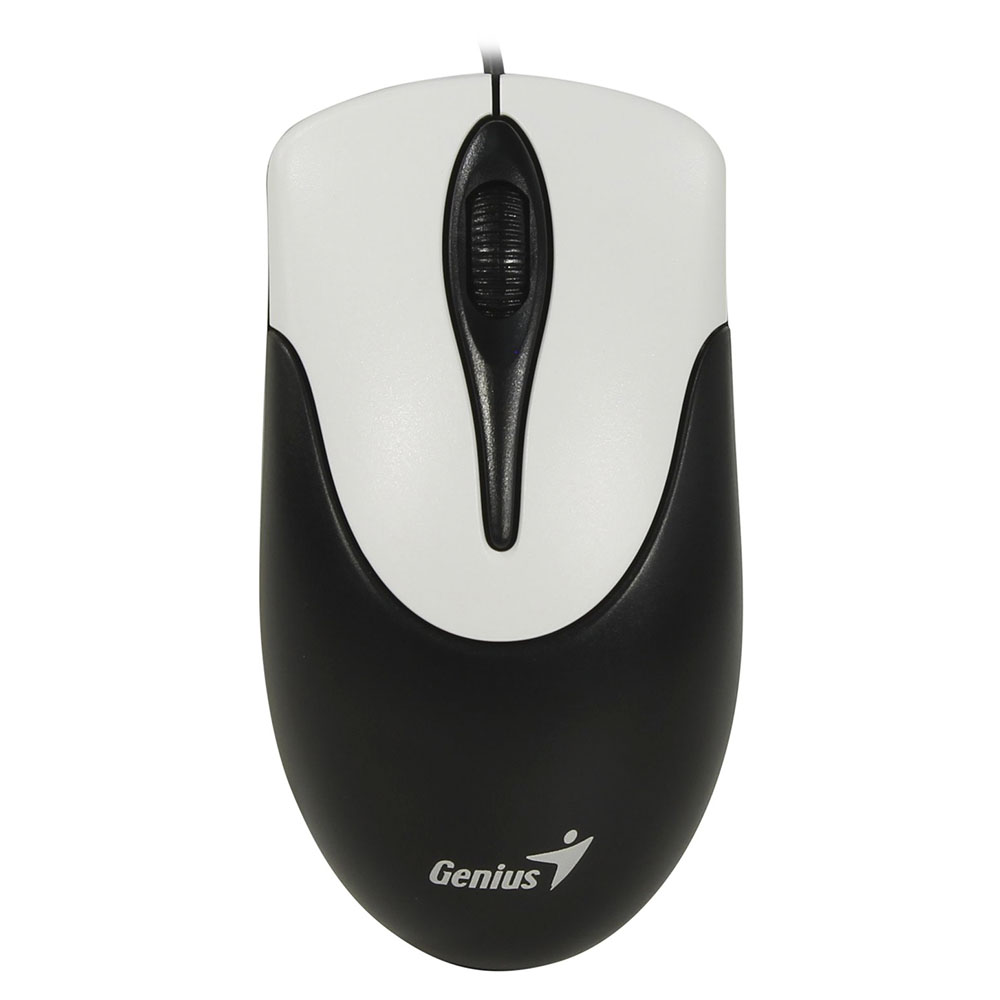 Компьютерная мышь Genius NetScroll 100 V2
