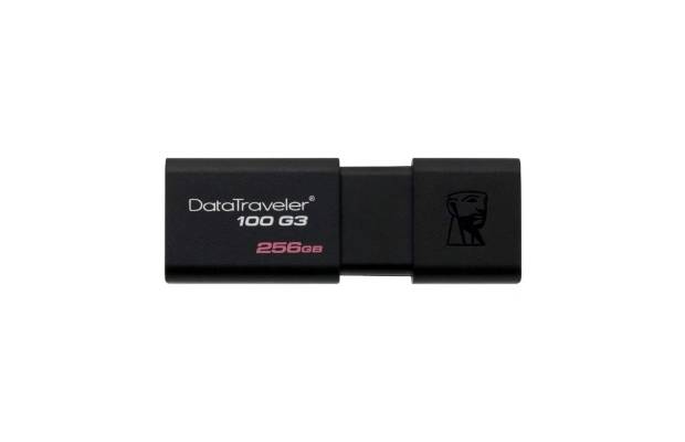 Флеш накопитель Kingston DataTraveler 100 G3 256GB